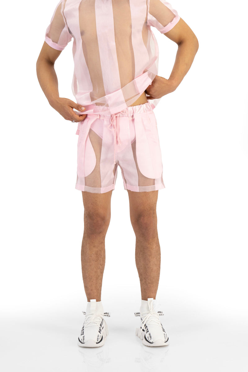 Castaway Striped Organza Drawstring Shorts (PINK)